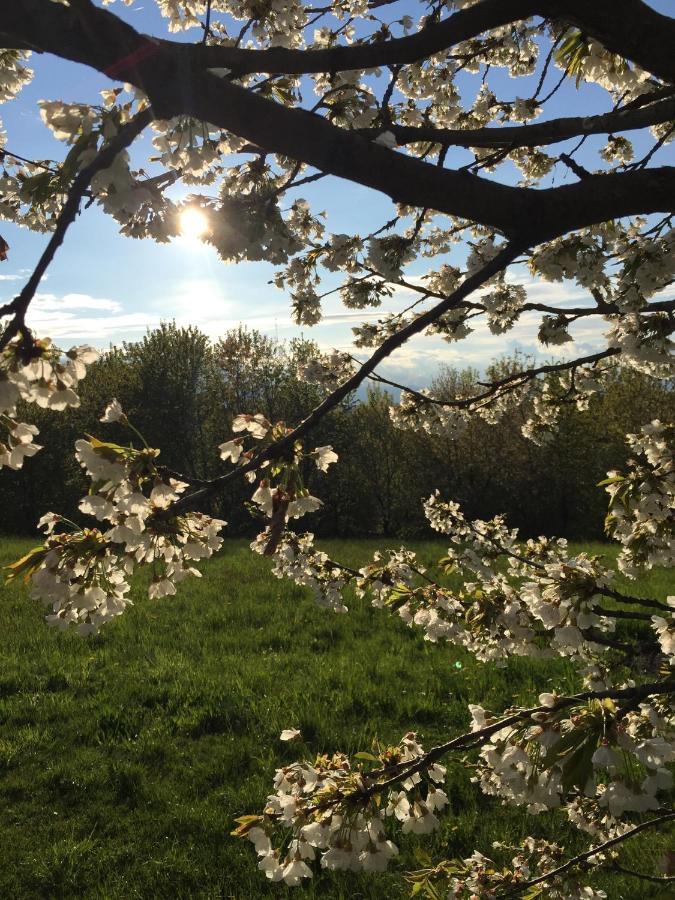 Holiday home Happy Hill - Quercia - Natura E Relax